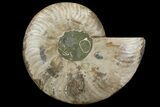 Cut & Polished Ammonite Fossil (Half) - Madagascar #157960-1